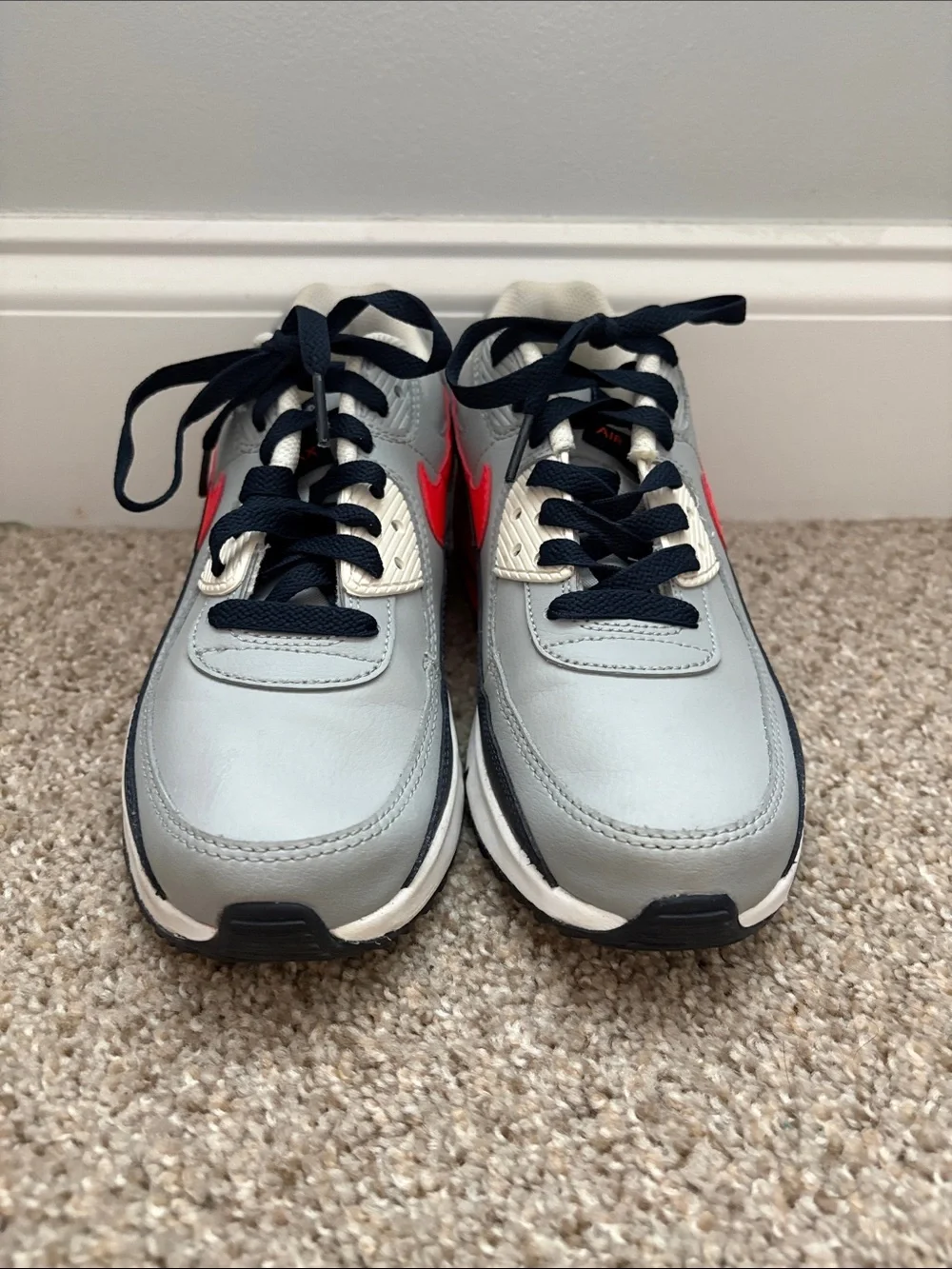 Nike Air Max 90 LTR Big Kid Shoes